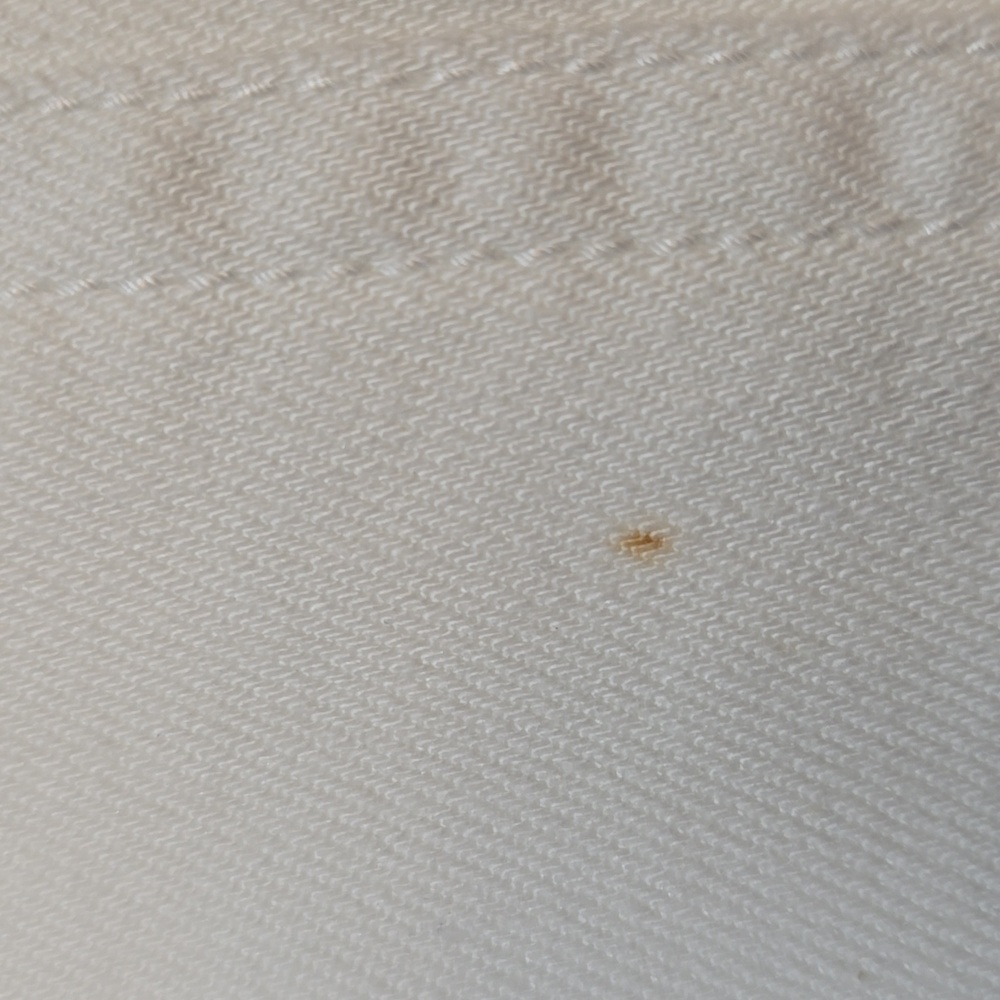 Pilcro and the Letterpress Cropped Off White Pants with Wide Cuff - Picture 11 of 11